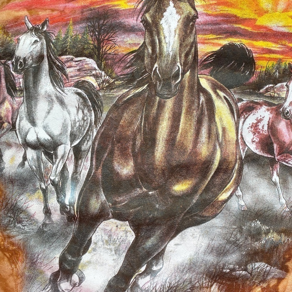 Back‎ to Earth Nature Wear Women's Shirt Tie Dye Graphic Hand Dyed Horses - Picture 6 of 11